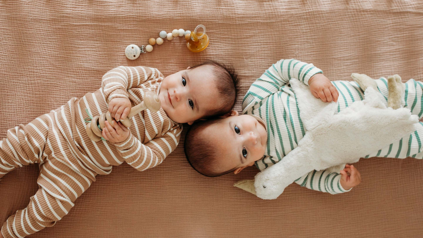 Two babies laying in a crib looking at camera holding a rattle and plushie