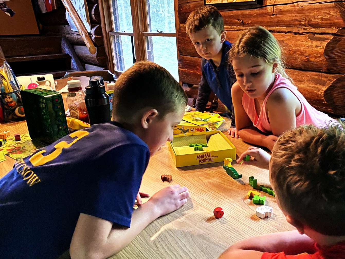 Our 10 Favorite Board Games to Bring Camping | HABA USA