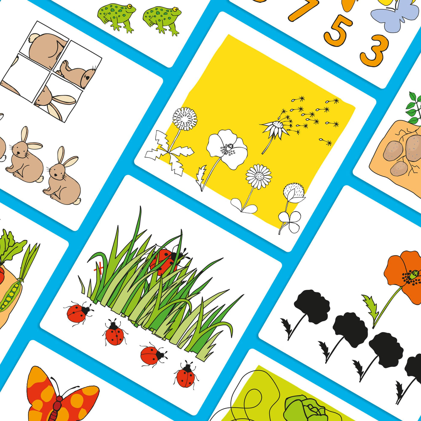 Cards from HABA Logic! CASE Expansion Set - Nature - cards depicting 5 flowers with yellow background and 4 ladybugs underneath a section of grass with a large ladybug