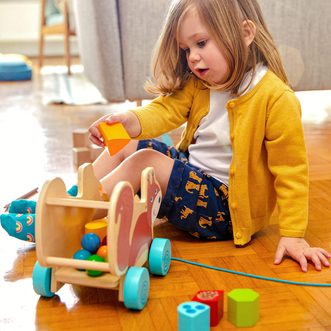 Push along toys for toddlers online